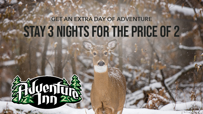 Winter deer promo for Adventure Inn stay offer.